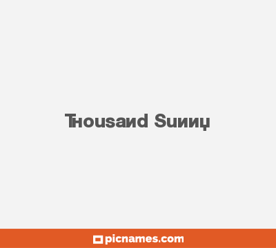 Thousand Sunny